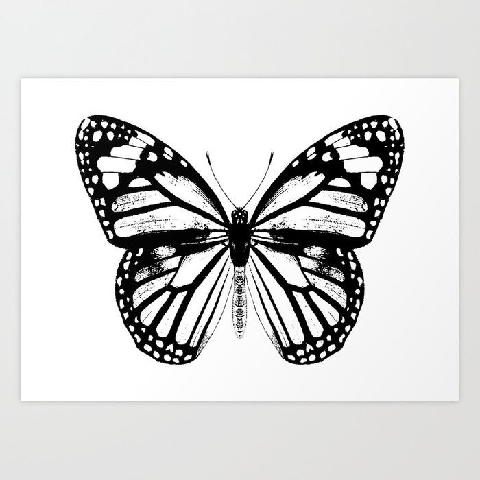 Monarch Butterfly Black And White Art Print - Butterfly Drawing Black...