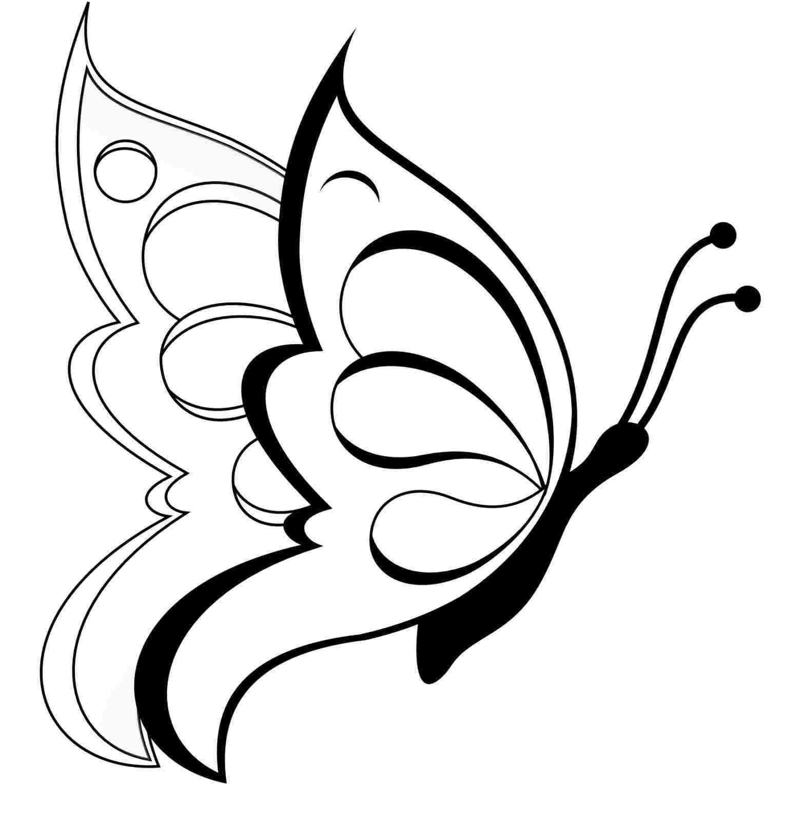 1563x1616 Butterfly Sketch A How Rhdrawingslycom Simple Easy To Draw - Butterfly Drawing Easy