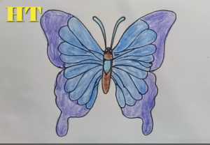 300x208 How To Draw A Cartoon Butterfly Easy - Butterfly Drawing Easy