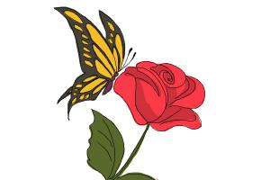 300x200 How To Draw A Butterfly For Kids - Butterfly Drawing For Children