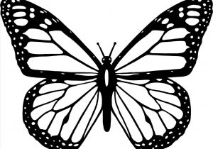 300x210 For Kids Cute Butterfly Line Drawing Download Clip Art - Butterfly Drawing For Kids