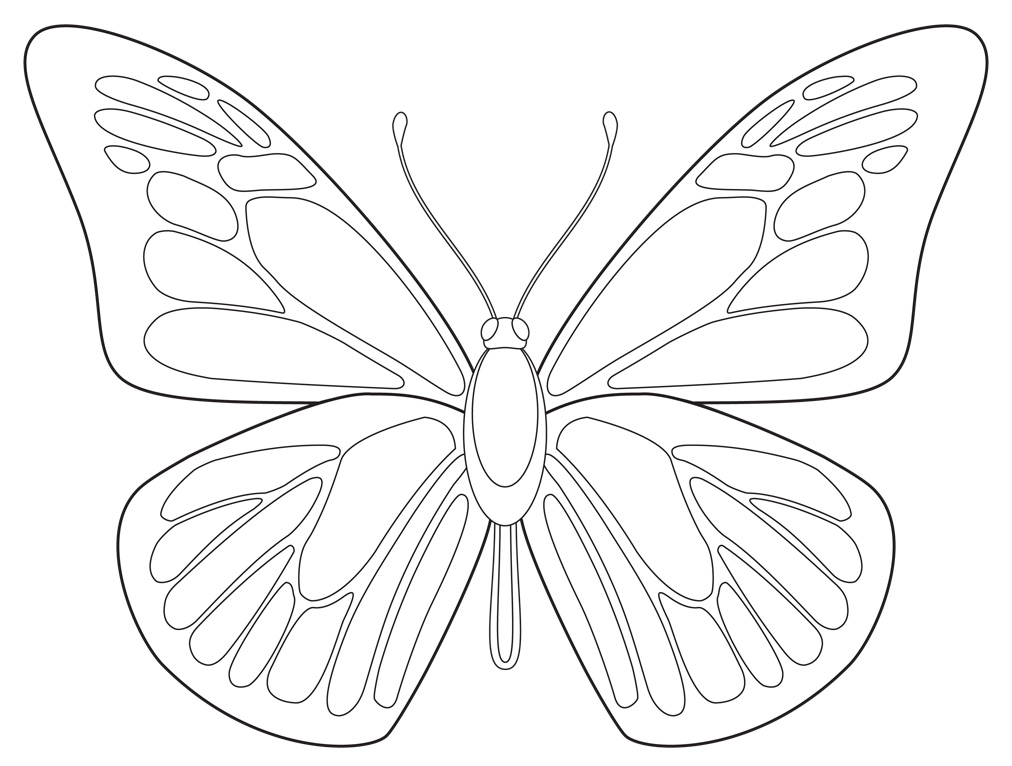 1012x766 Free Butterfly Printable Art Projects For Kids - Butterfly Drawing For Kids