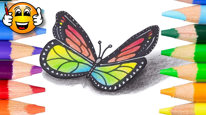 800x450 How To Draw A Butterfly In For Kids - Butterfly Drawing For Kids