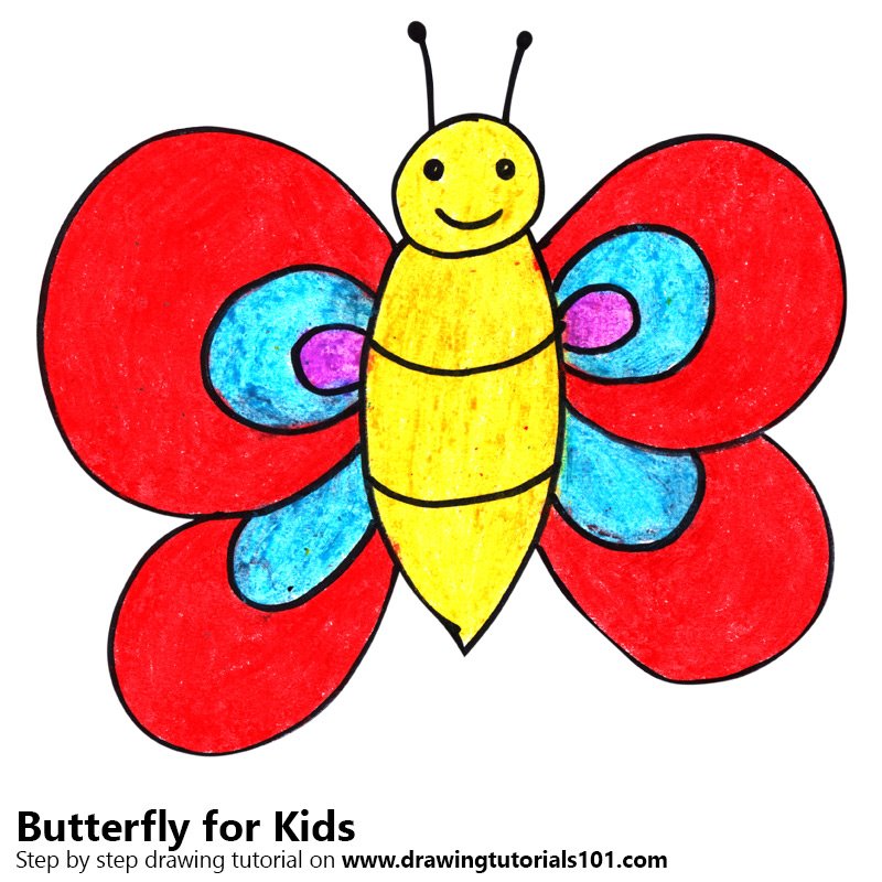 800x800 Learn How To Draw A Butterfly For Kids - Butterfly Drawing For Kids