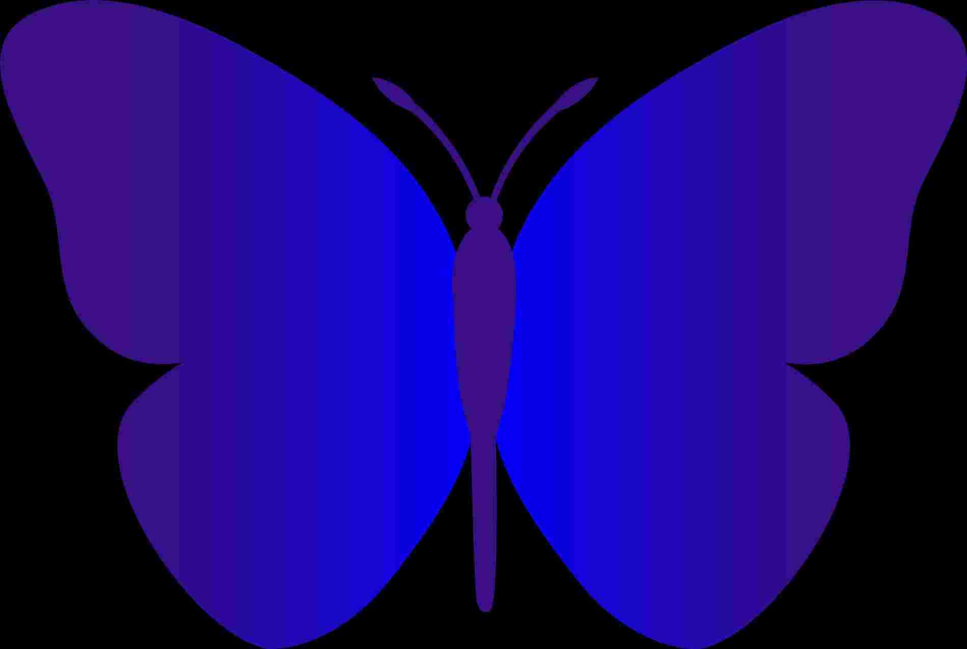 1899x1276 Simple Butterfly Drawings Kids Rhcom How - Butterfly Drawing For Kids