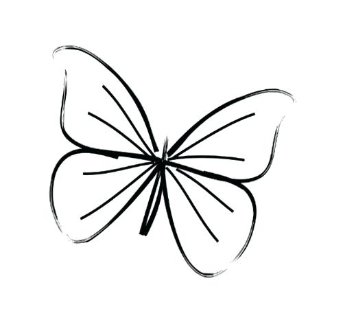 500x482 drawing a butterfly how to draw a butterfly monarch butterfly - Butterfly Drawing Ideas
