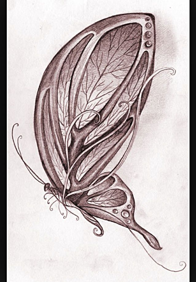 638x915 Drawing Ideas - Butterfly Drawing Ideas