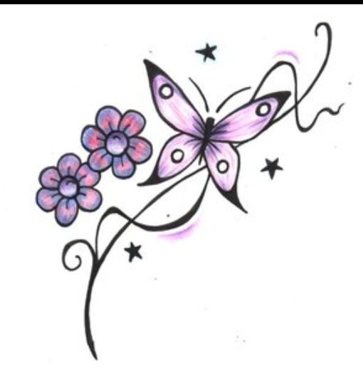 510x534 Drawing Ideas - Butterfly Drawing Ideas