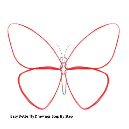 500x500 Easy Butterfly Drawings Step - Butterfly Drawing Ideas