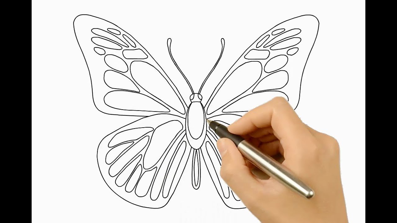 1280x720 How To Draw And Coloring, Butterfly Drawing, Drawing Ideas - Butterfly Drawing Ideas