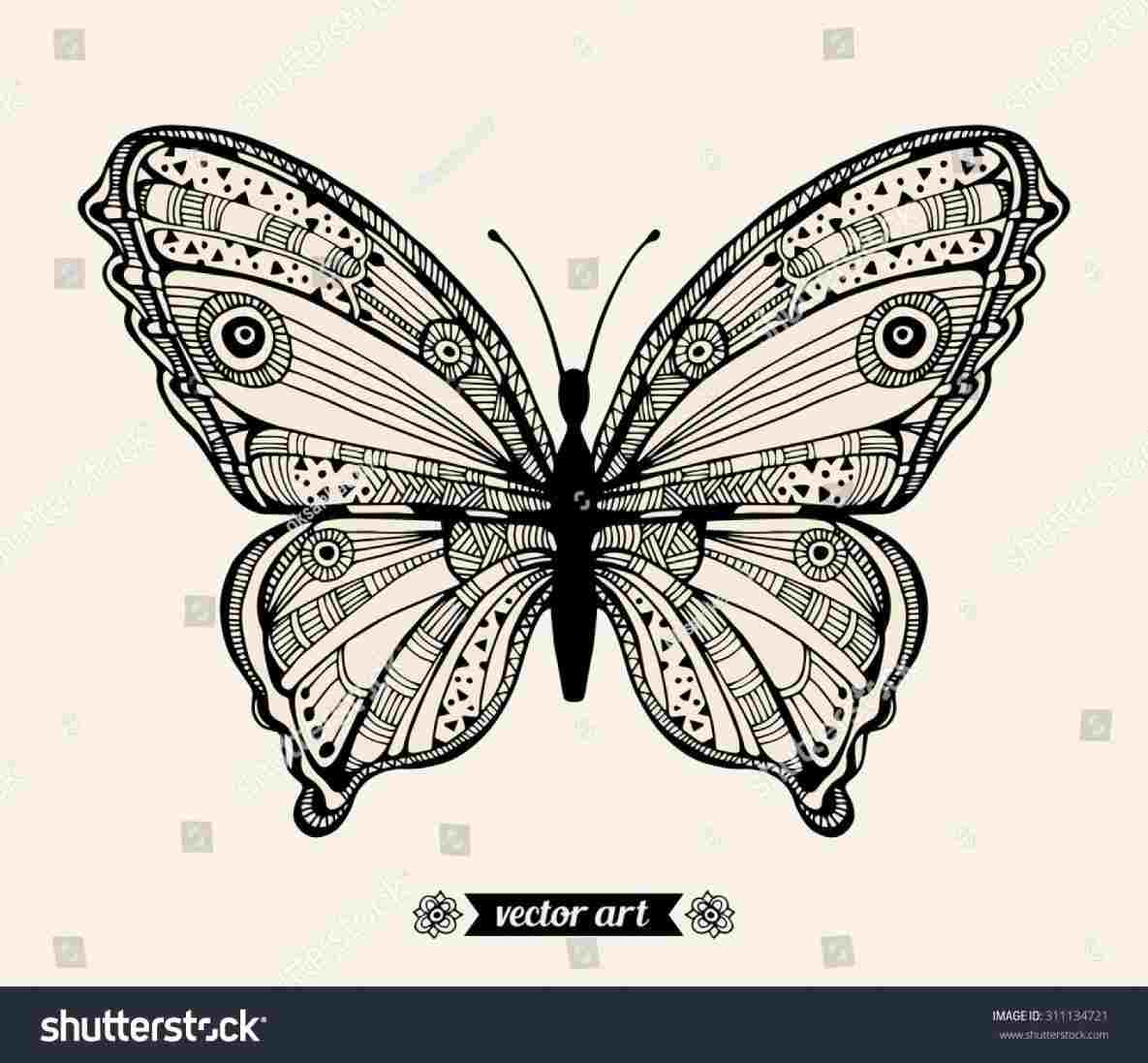 1185x1097 white background stock rhshutterstockcom zentangle creative unique - Butterfly Drawing Ideas