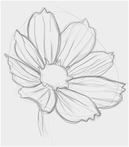 425x484 Butterfly Drawing Tutorial Prettier Ideas About Flower - Butterfly Drawing Ideas