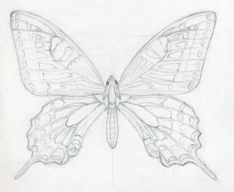 805x660 How To Draw A Butterfly Surprisingly Easy! - Butterfly Drawing Images