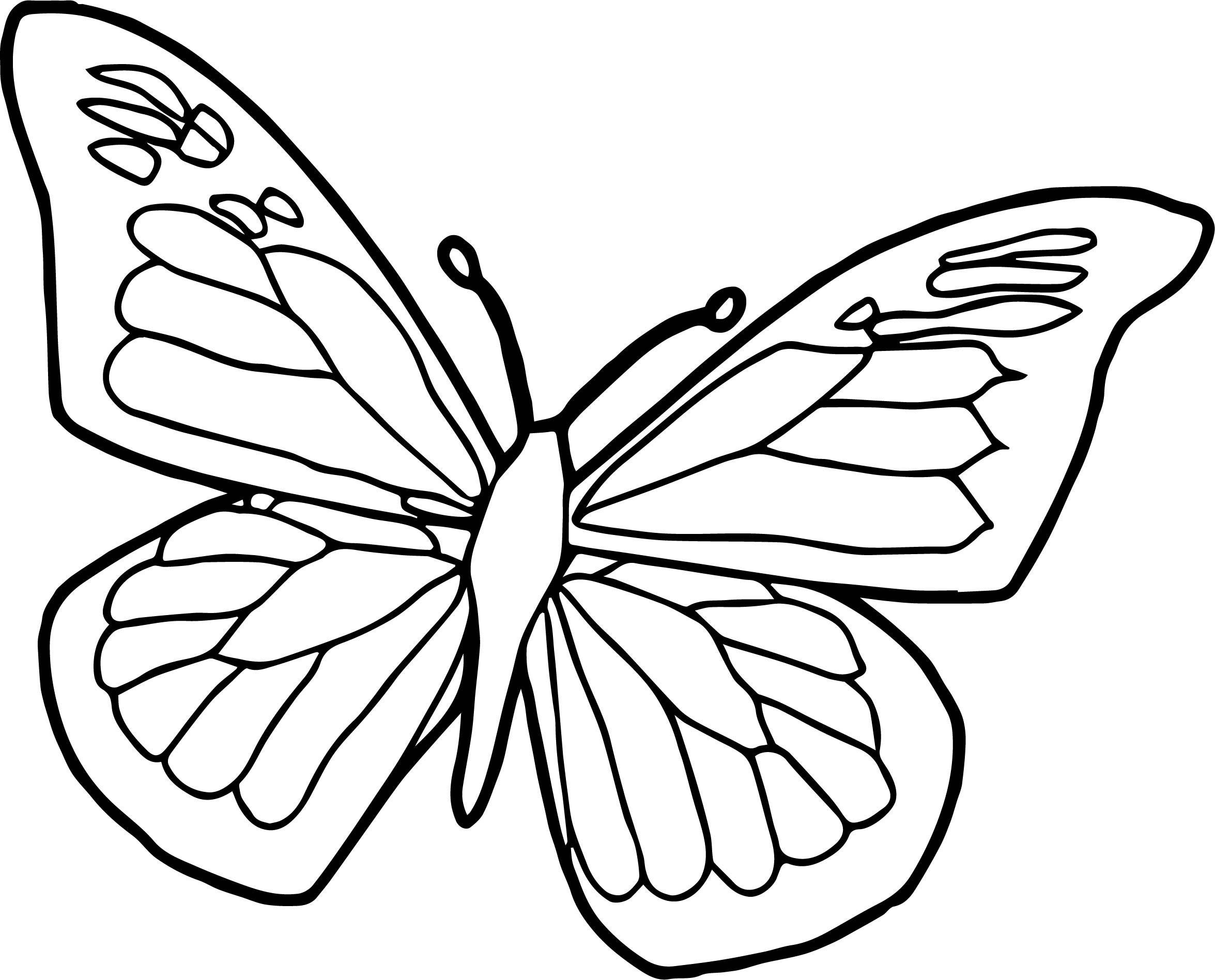 Butterfly Drawing Images at Explore collection of