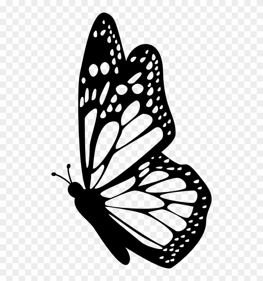 840x897 Profile Clipart Butterfly Pencil And In Color Profile - Butterfly Drawing Images