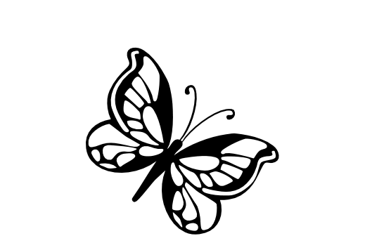 519x346 Butterfly - Butterfly Drawing Images