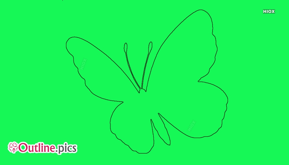 934x534 butterfly outline drawing outline pics - Butterfly Drawing Outline