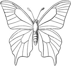 236x220 free butterfly printable butterfly butterfly coloring - Butterfly Drawing Outline