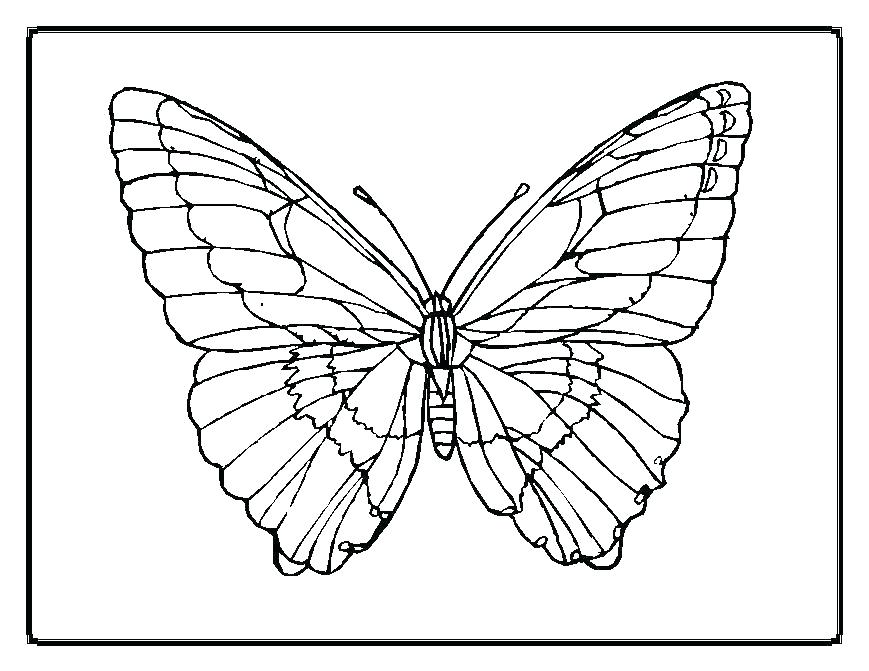 869x671 kid outlines kid outlines kid body outline coloring - Butterfly Drawing Outline