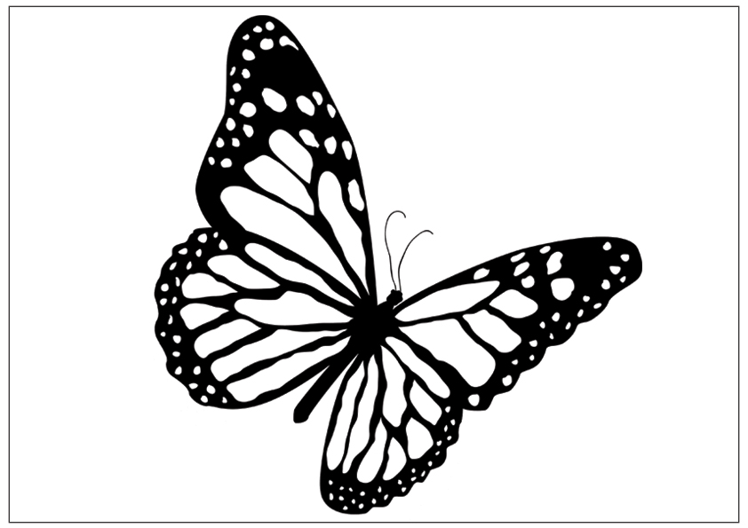 842x595 Printable Fun Butterfly Coloring Pages For Kids - Butterfly Drawing Outline