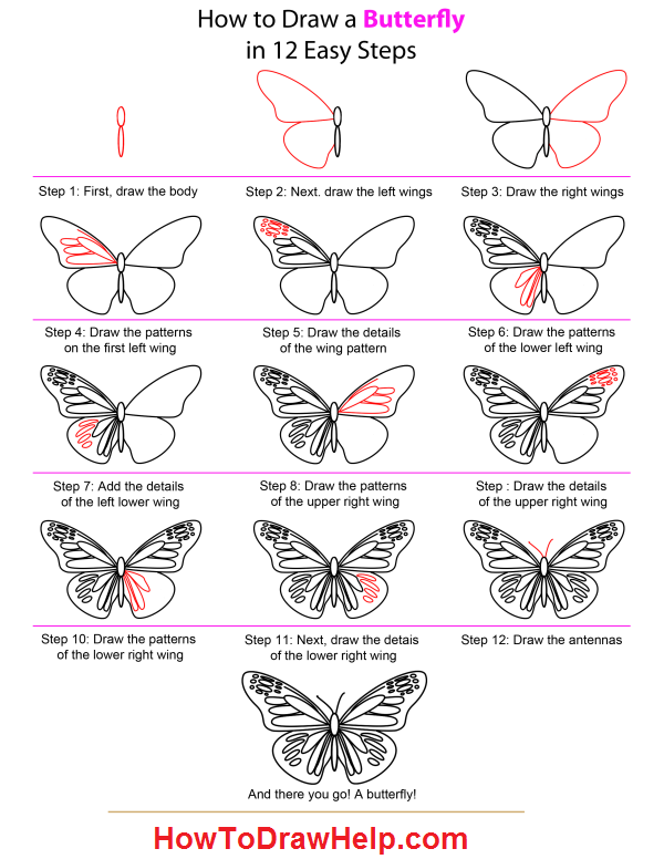 600x776 Easy To Draw Butterflies Butterfly Drawing Easy Methods How - Butterfly Drawing Step By Step