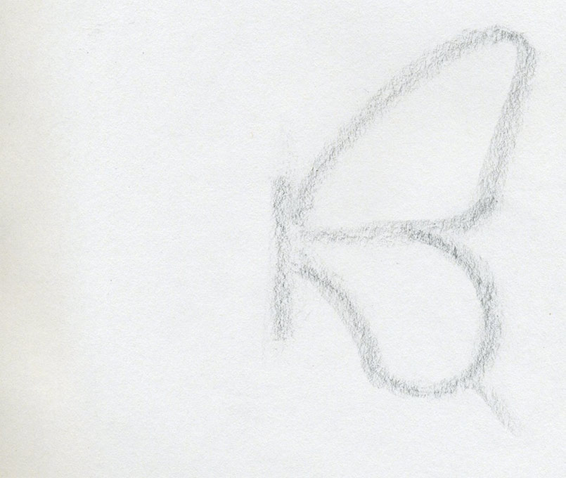 805x680 how to draw a butterfly surprisingly easy! - Butterfly Drawing Step By Step