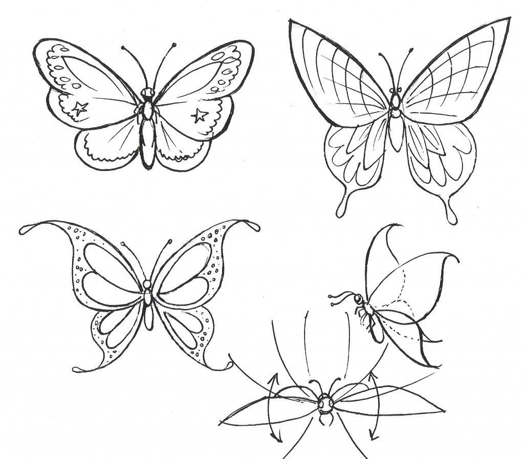 1024x897 How To Make Butterfly Drawing Step - Butterfly Drawing Step By Step