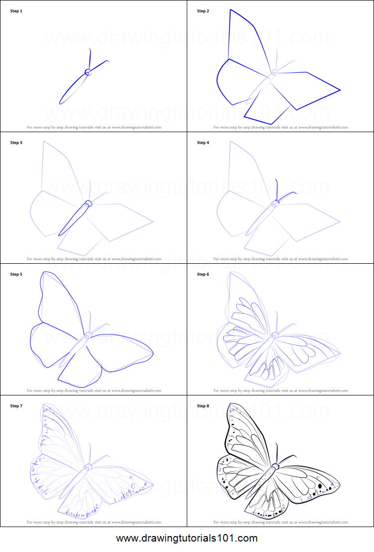 751x1107 How To Draw A Monarch Butterfly Printable Step - Butterfly Drawing Step By Step