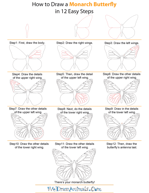 600x776 How To Draw A Monarch Butterfly - Butterfly Drawing Step By Step