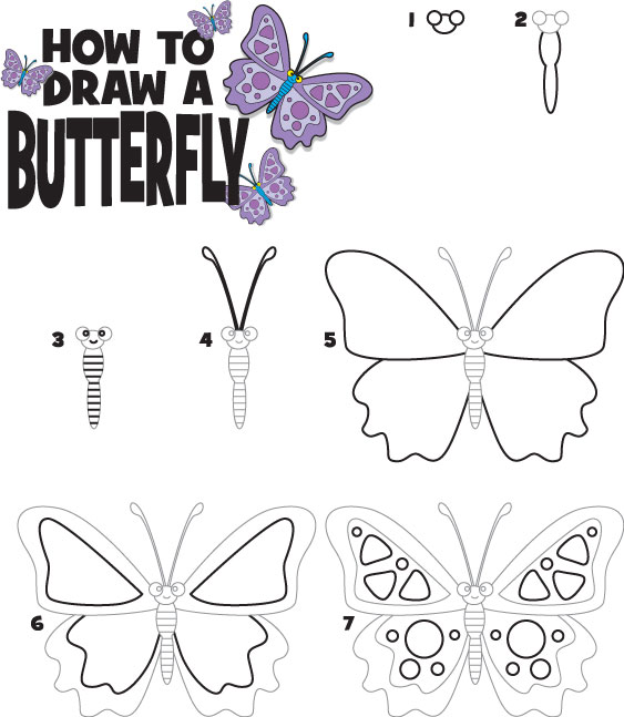 563x647 how to draw a butterfly how to draw a butterfly kid scoop horse - Butterfly Drawing Step By Step