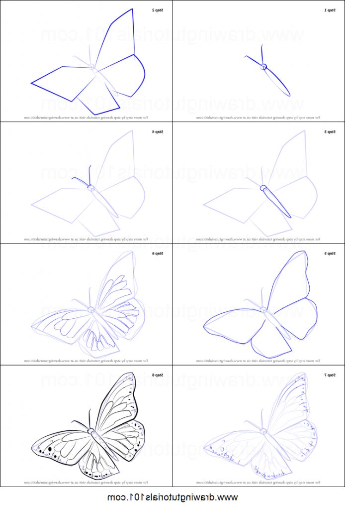 694x1024 Butterfly Drawing Tutorial How To Draw A Monarch Butterfly - Butterfly Drawing Step By Step