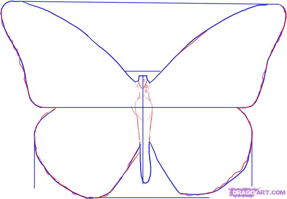 971x675 Draw A Butterfly, Step - Butterfly Drawing Step By Step
