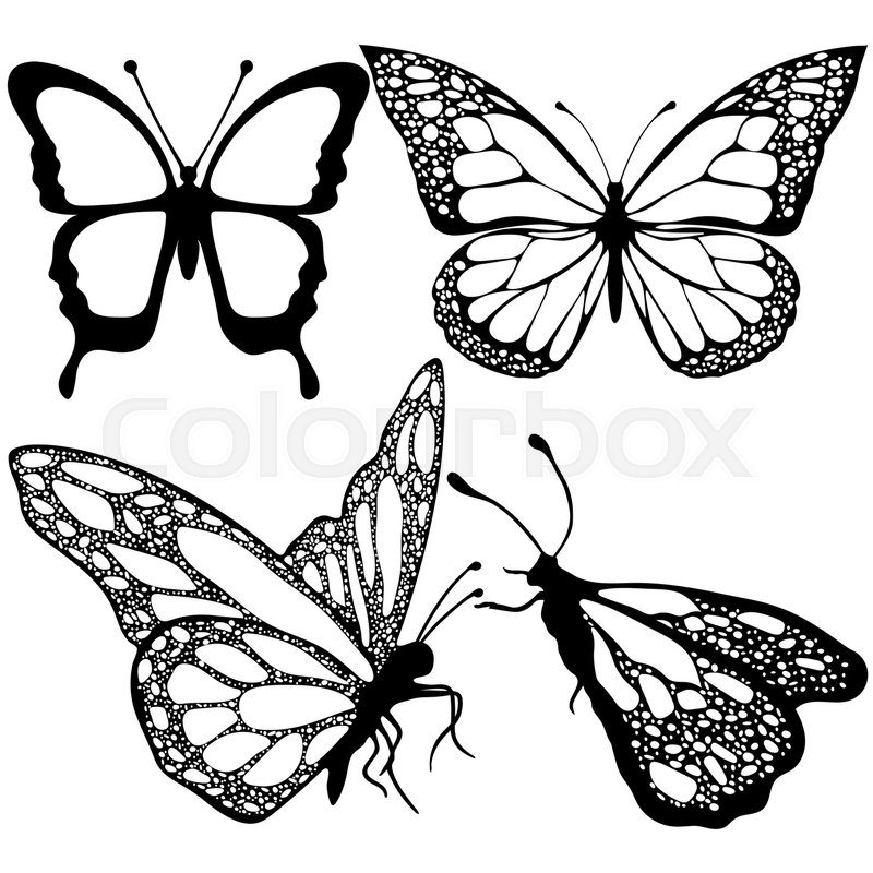 800x800 Butterflies Set, Monochrome, Coloring Stock Vector Colourbox - Butterfly Drawing Tattoo