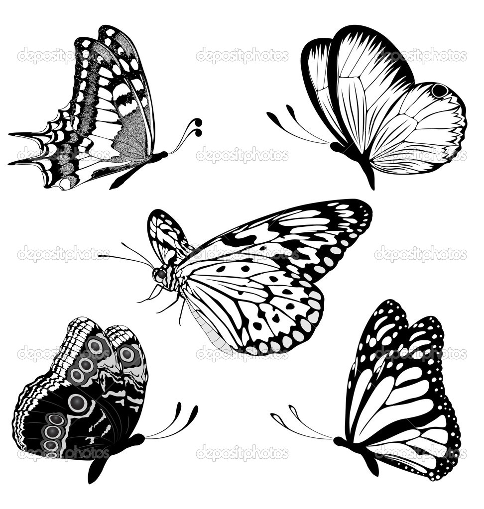 972x1023 Butterfly Drawings Black And White Tattoo - Butterfly Drawing Tattoo