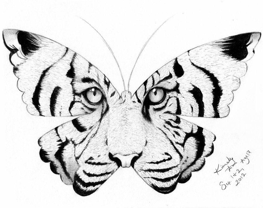 900x710 Drawn Tattoo Butterfly - Butterfly Drawing Tattoo