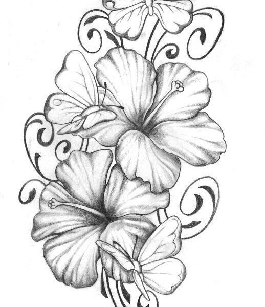 518x600 Flower Tattoo Drawing Hibiscus With Butterfly Flowertattoodesigns - Butterfly Drawing Tattoo