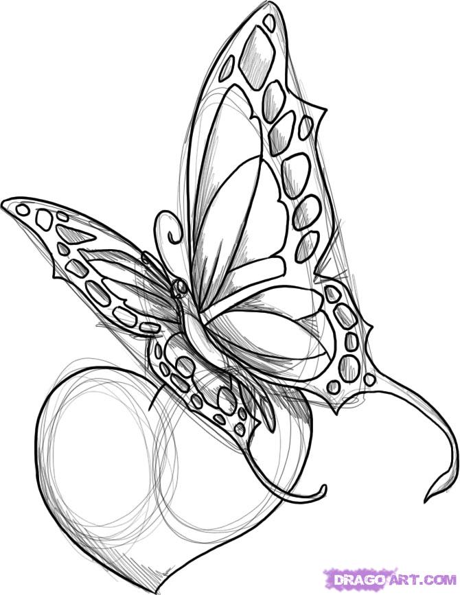 670x867 Awesome Big Butterfly Heart Tattoo Drawing - Butterfly Drawing Tattoo