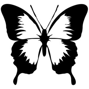 Butterfly Drawing Template at PaintingValley.com | Explore collection ...