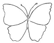 181x145 Drawing Templates - Butterfly Drawing Template
