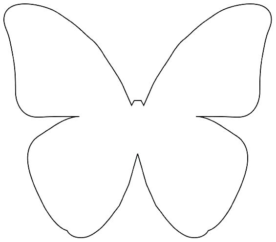 Butterfly Drawing Template At Paintingvalley.com 