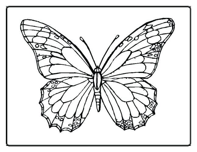 647x500 Outline Butterfly Template D Kids Library Coloring Colouring - Butterfly Drawing Template
