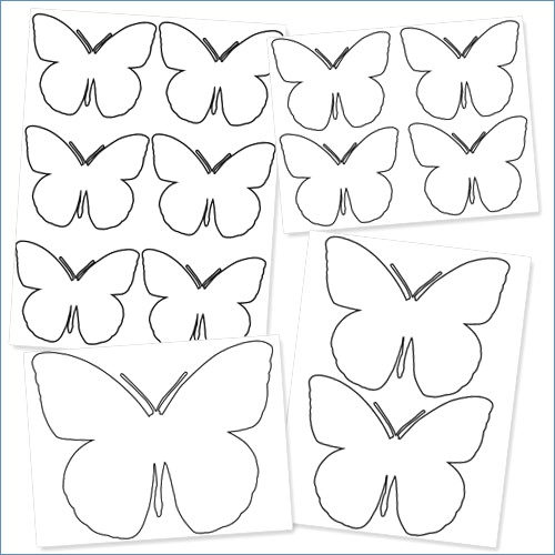 500x500 Buterfly Template - Butterfly Drawing Template