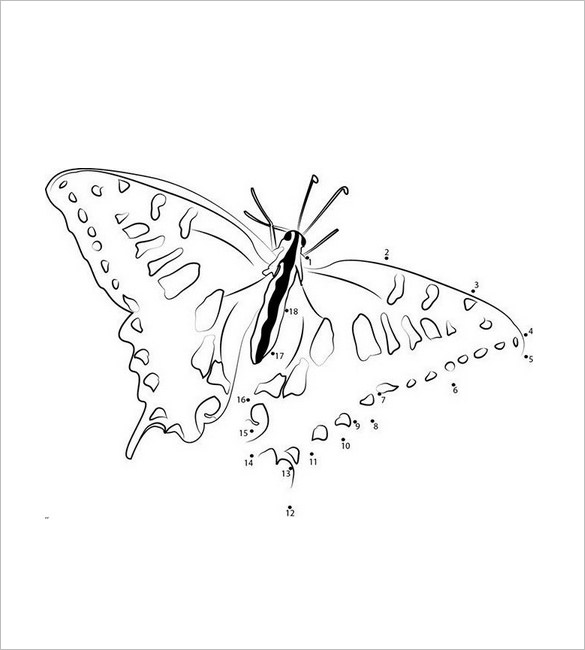 585x650 Butterfly Templates - Butterfly Drawing Template