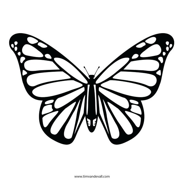 600x600 butterfly outline drawing butterfly coloring - Butterfly Drawing Template