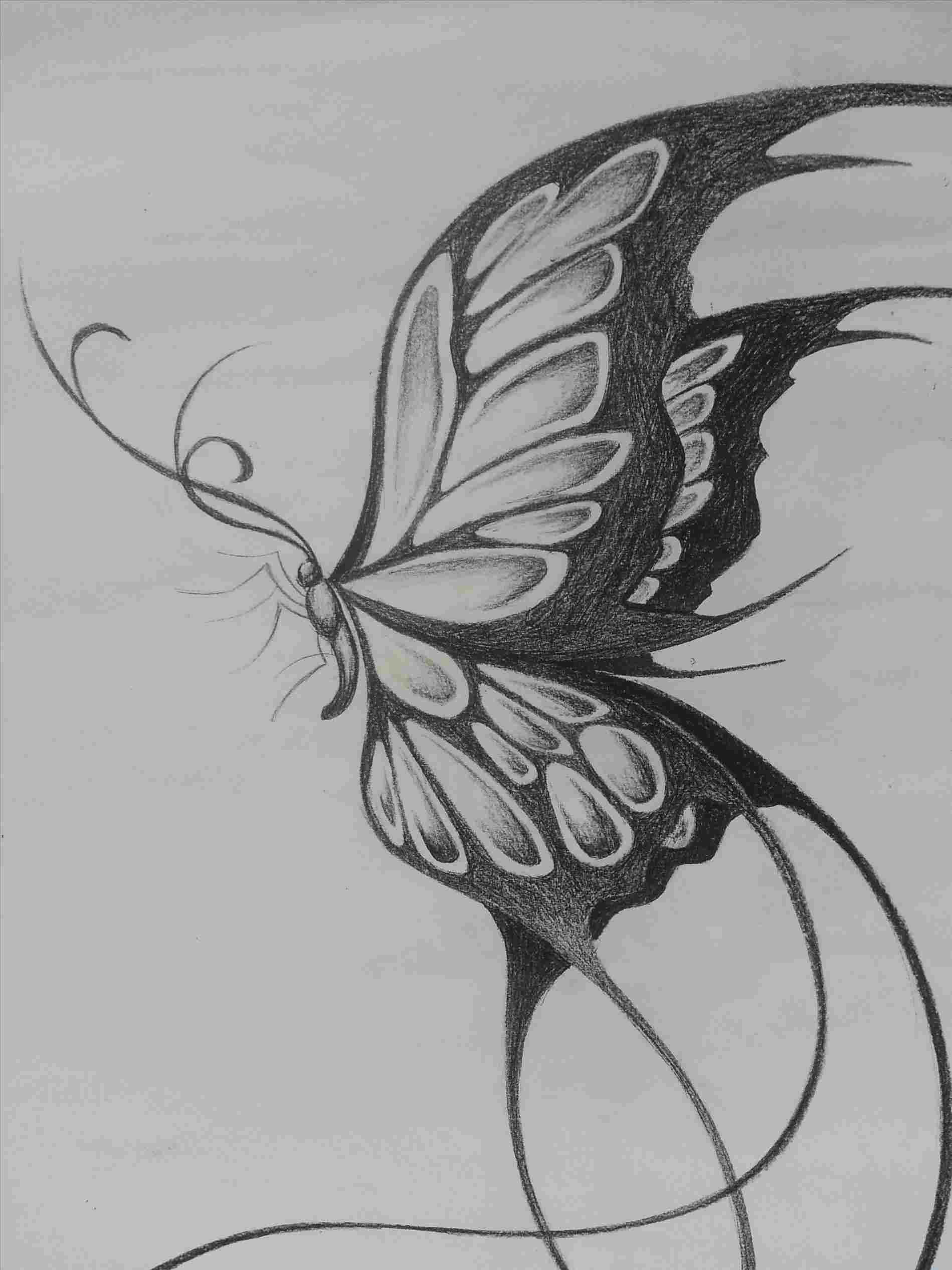 Pencil Drawing Of Butterfly Tattoo 4809