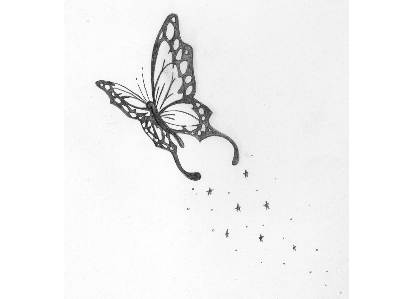 1280x960 Flying Butterfly Drawings In Pencil - Butterfly Drawings In Pencil