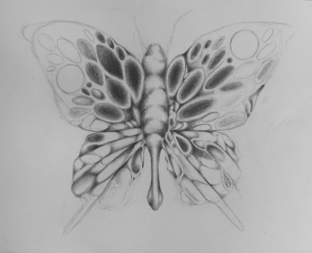 1000x810 Butterfly Drawings, Art Ideas Design Trends - Butterfly Drawings In Pencil