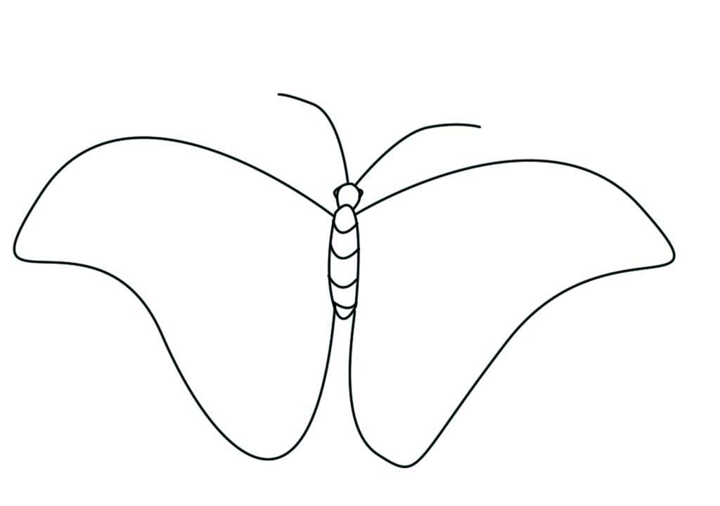 1024x720 How To Draw A Butterfly Drawing - Butterfly Drawings In Pencil