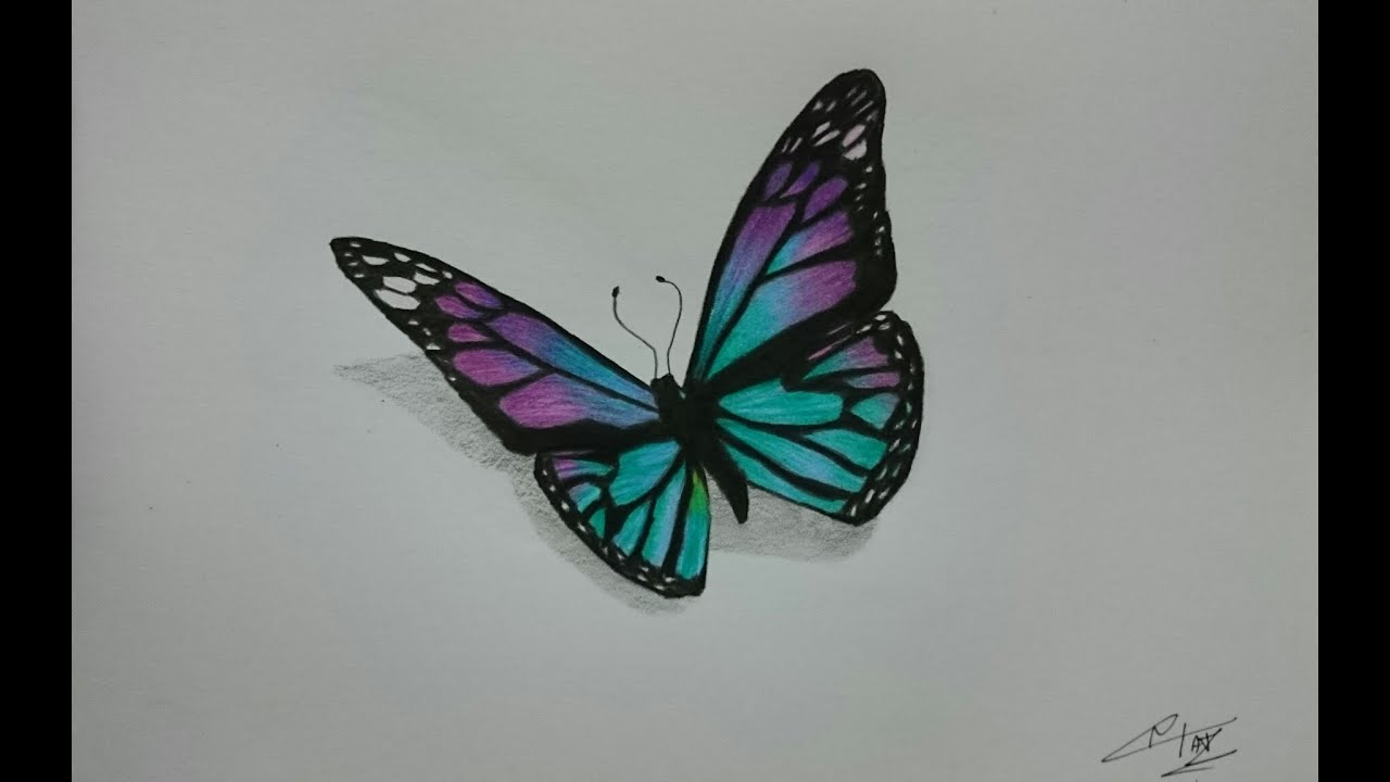 1280x720 How To Draw A Realistic Butterfly With Colored Pencils - Butterfly Drawings In Pencil