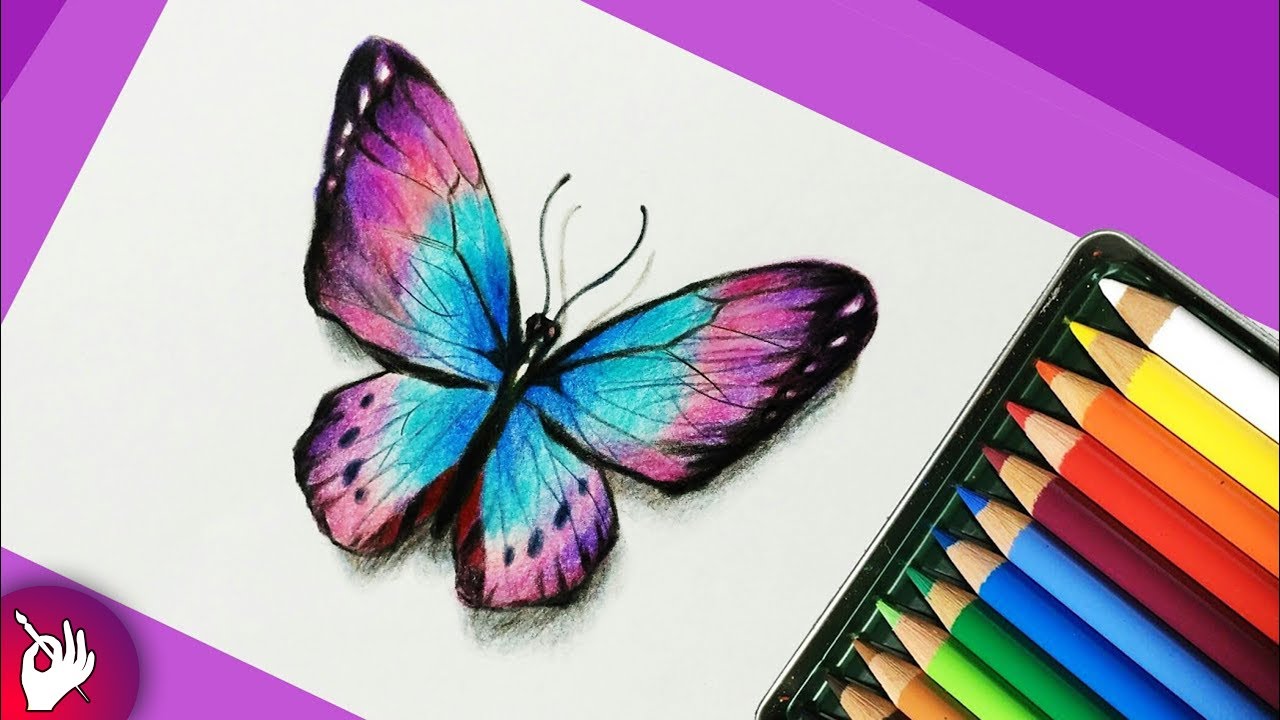 Butterfly Drawings In Pencil at PaintingValley.com | Explore collection